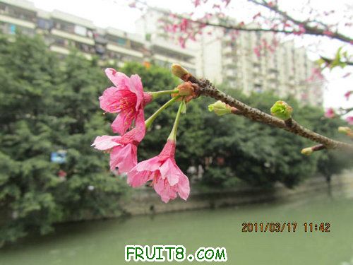 IMG_6701.JPG
