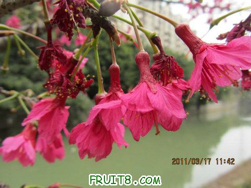 IMG_6700.JPG