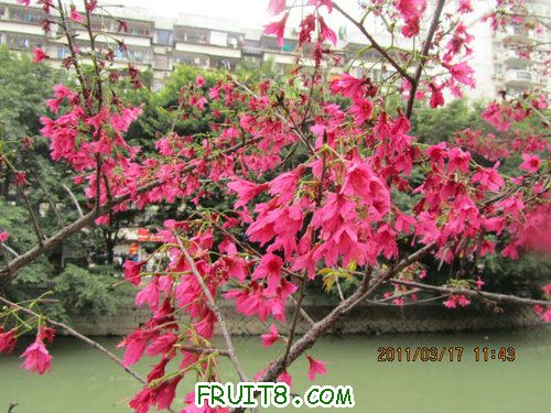 IMG_6709.JPG