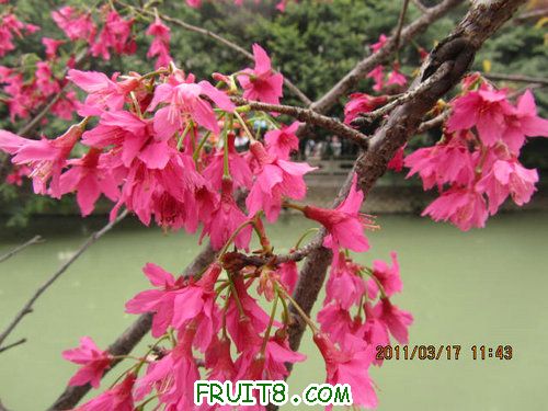 IMG_6707.JPG