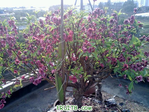 20110313155749.jpg
