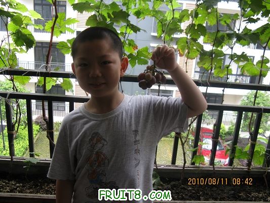 IMG_2973.jpg