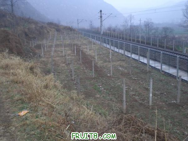 CIMG0086.JPG