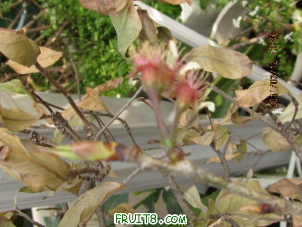 IMG_4401.JPG