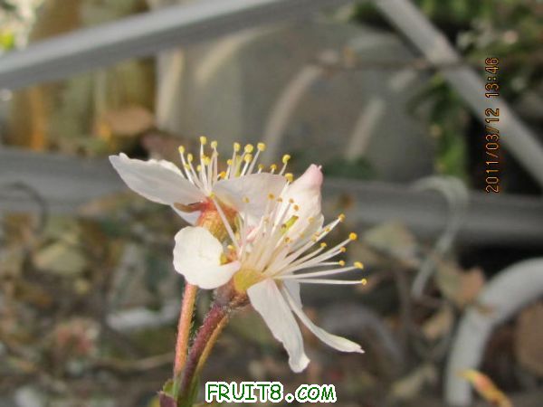 IMG_4399.JPG