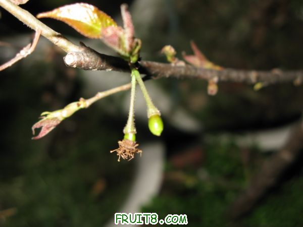 IMG_3873.JPG