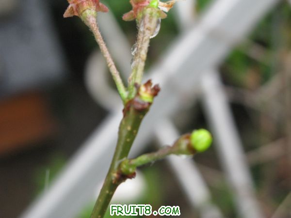 IMG_4210.JPG