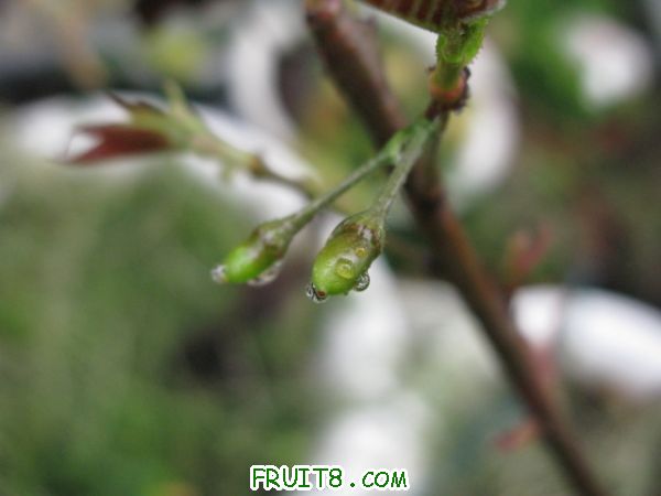 IMG_4220.JPG