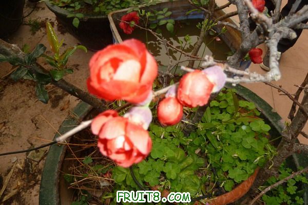 ԰ 087_resize.jpg