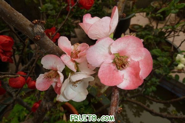 ԰ 086_resize.jpg