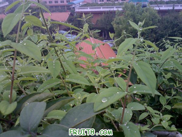 20110320101050.jpg