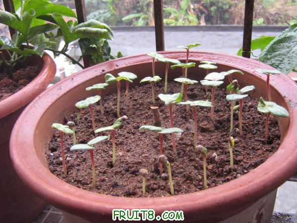 Table_IMG_0337.jpg