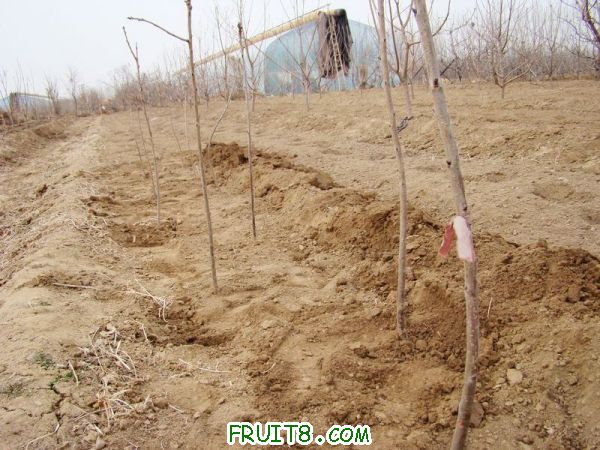 nEO_IMG_DSC01902.jpg