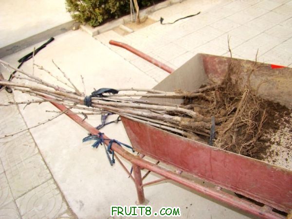 nEO_IMG_DSC01900.jpg