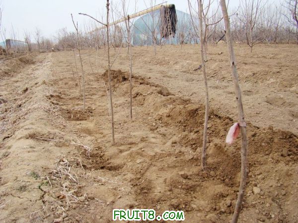 nEO_IMG_DSC01903.jpg