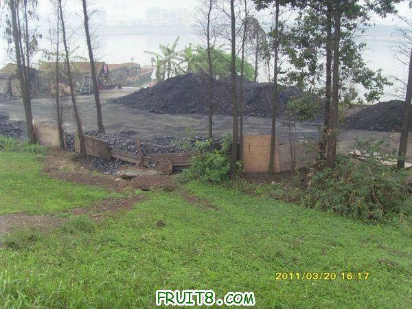 ������С SI851524.JPG