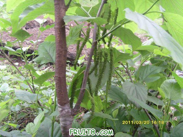 ������С SI851528.JPG