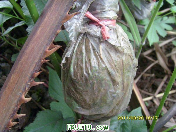 ������С SI851527.JPG