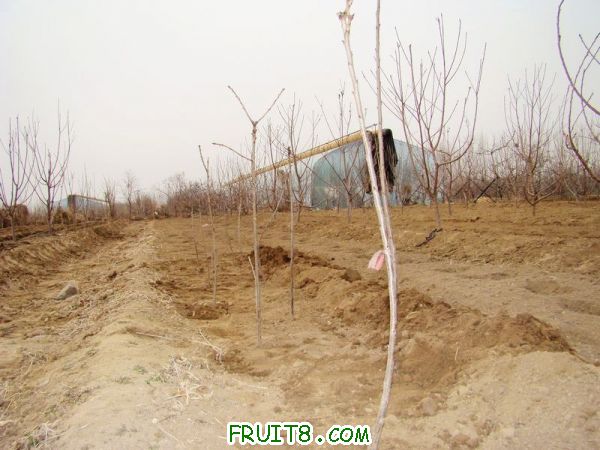 nEO_IMG_DSC01904.jpg