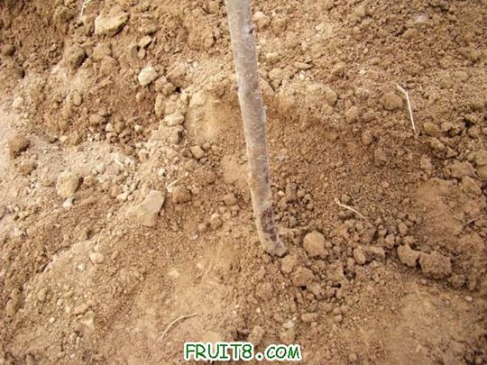 nEO_IMG_DSC01905.jpg
