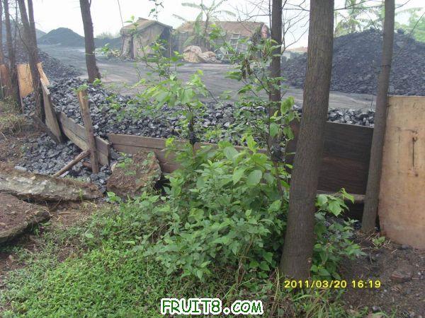 ������С SI851529.JPG