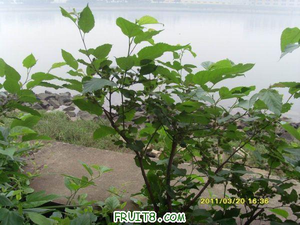 ������С SI851542.JPG