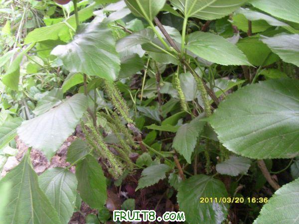 ������С SI851540.JPG