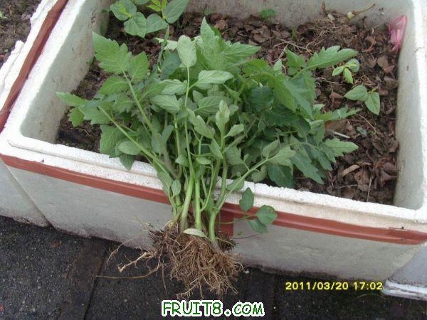 ������С SI851544.JPG