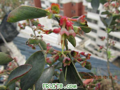 IMG_7037.JPG