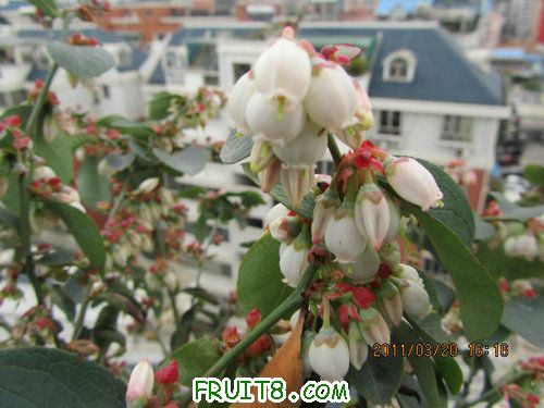 IMG_7039.JPG
