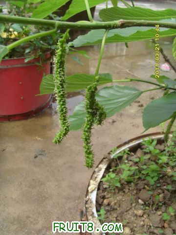 С SI851628.JPG