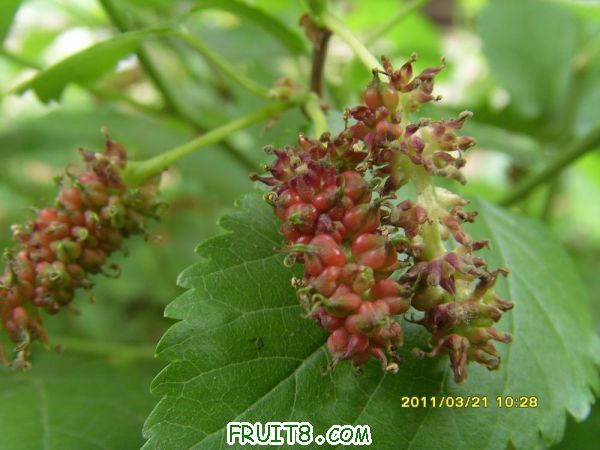 С SI851624.JPG
