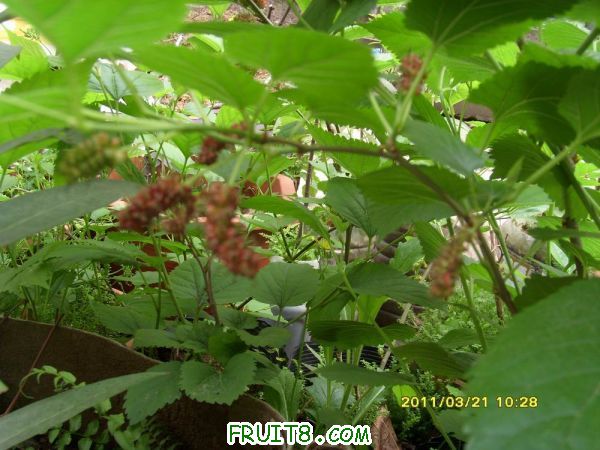 С SI851623.JPG
