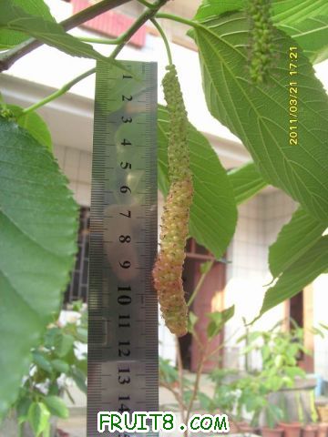 С SI851642.JPG