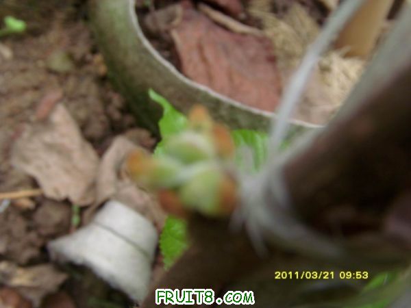 С SI851573.JPG