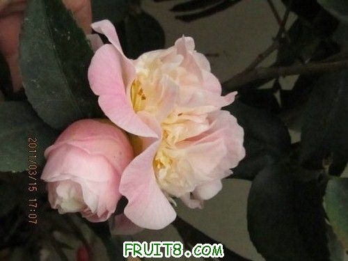 IMG_5724.JPG