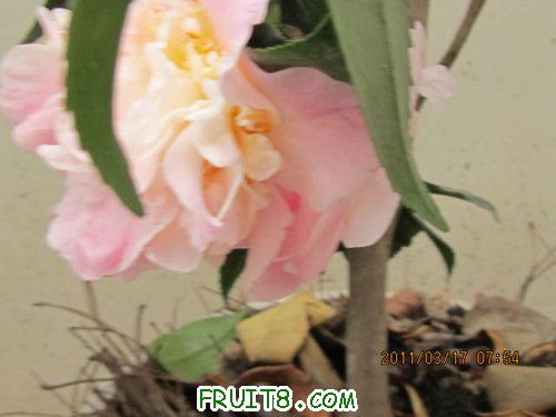 IMG_6403.JPG