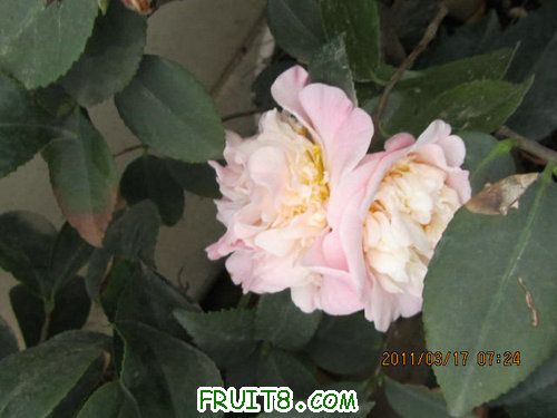 IMG_6333.JPG