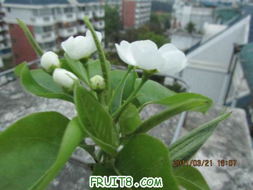 IMG_7518.JPG
