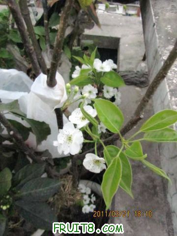 IMG_7530.JPG