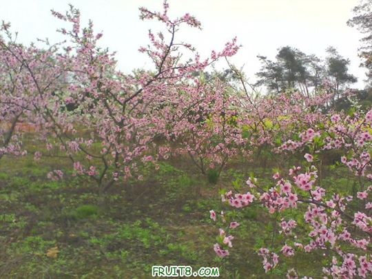 IMG0116A.jpg