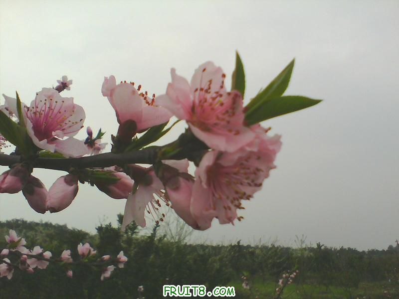 IMG0125A.jpg