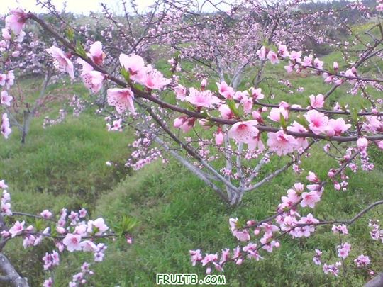 IMG0128A.jpg