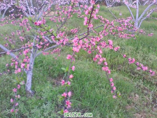 IMG0122A.jpg