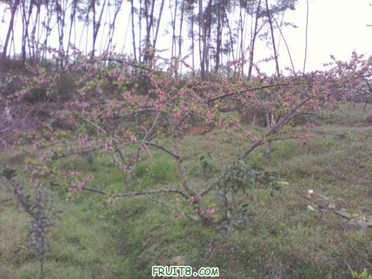 IMG0139A.jpg