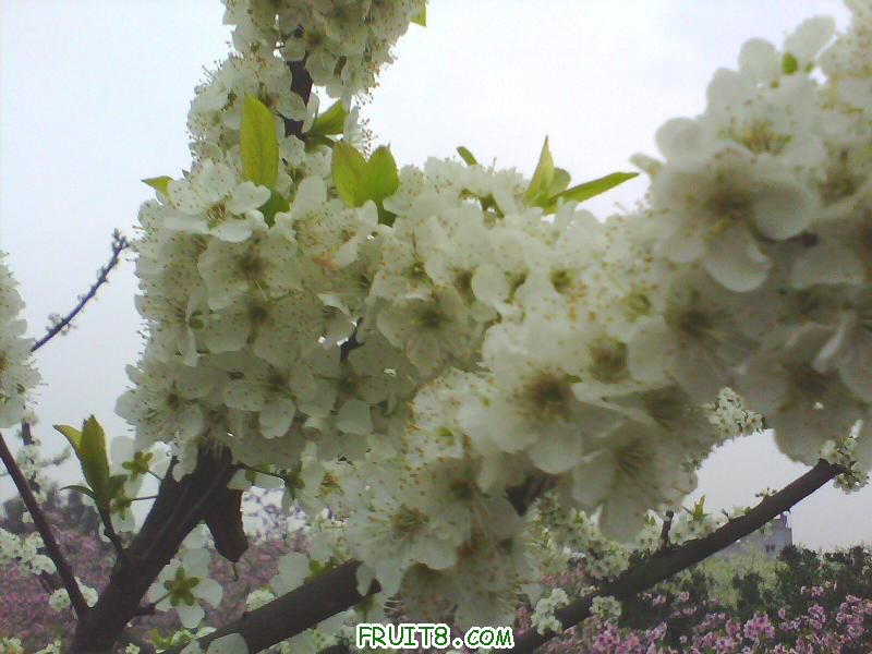 IMG0144A.jpg