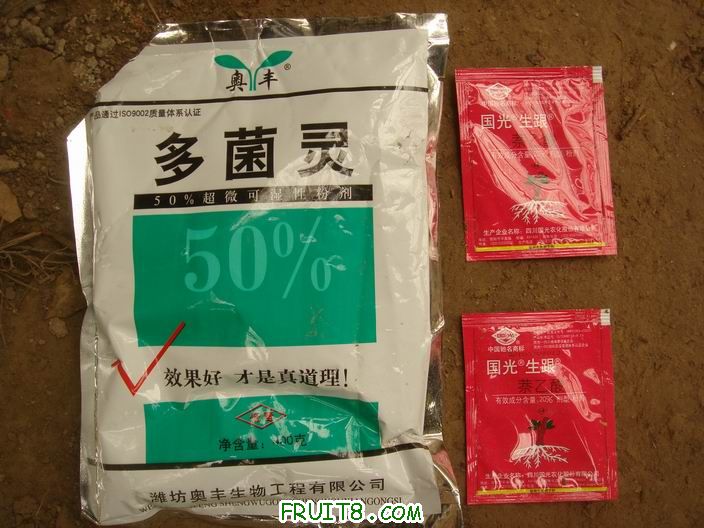 Resize of DSC05936.JPG