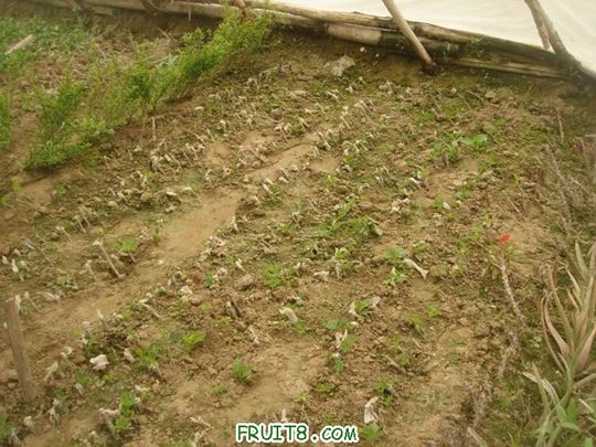 Resize of DSC05948.JPG