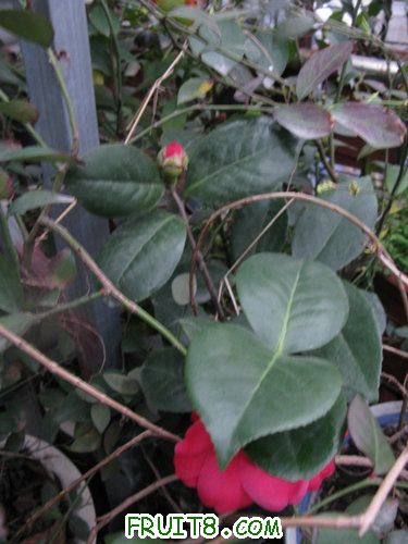 IMG_1083.jpg