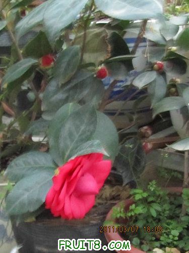IMG_3496.JPG